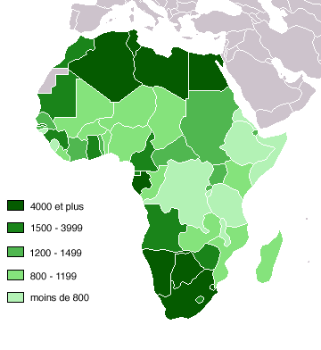 File:Africa by GDP, 2002 (French).png