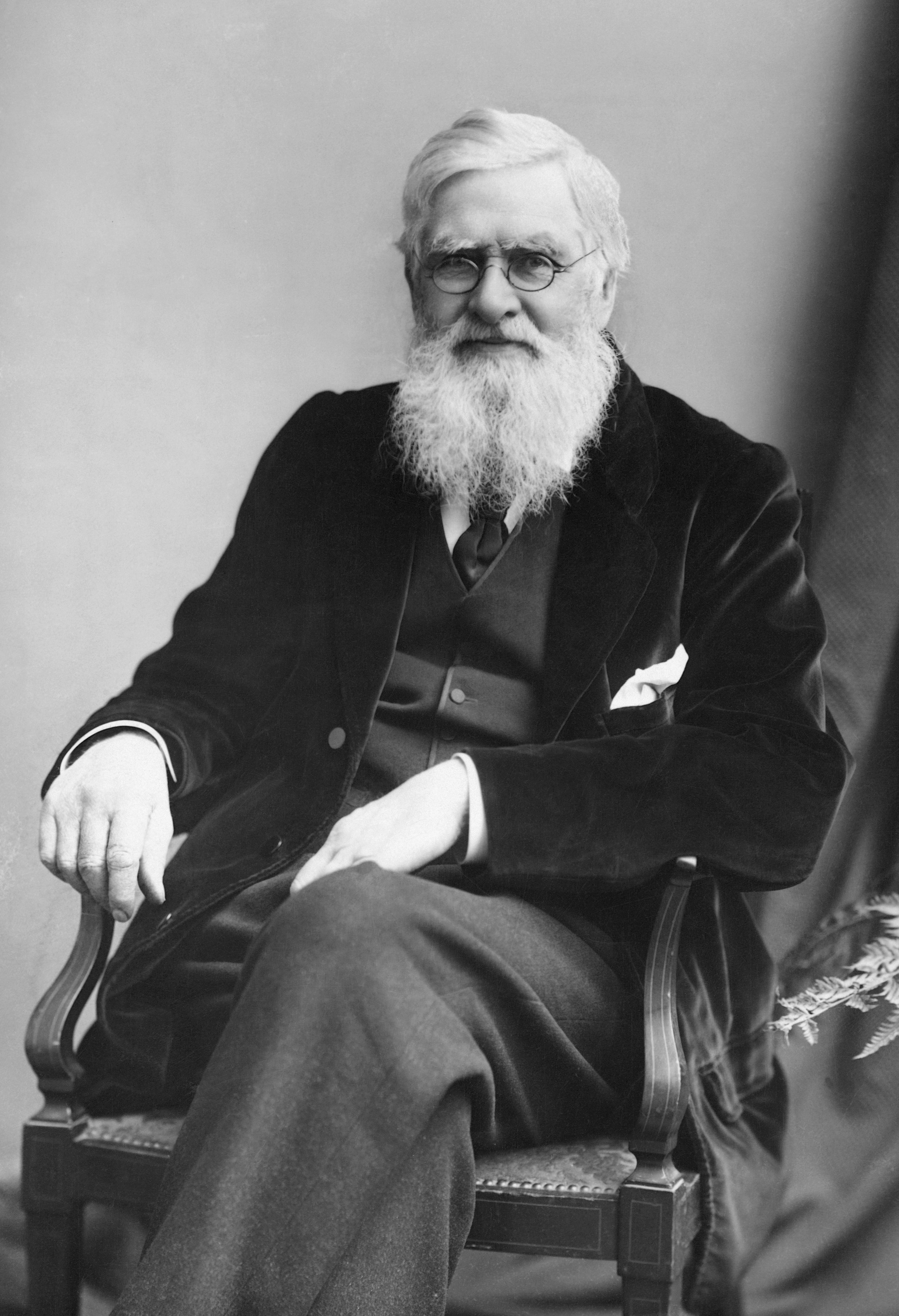 alfred russel wallace theory of evolution