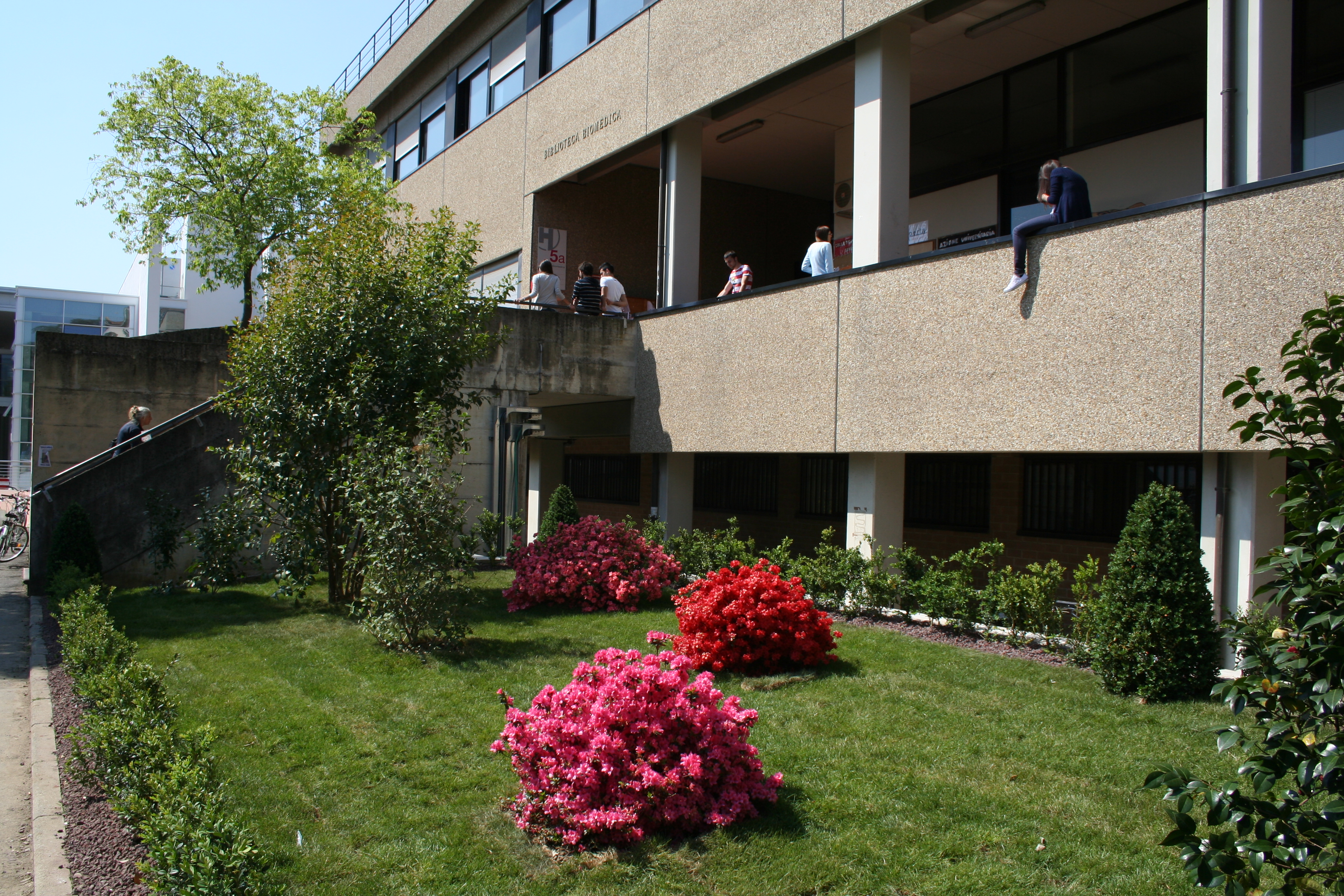 Biblioteca biomedica Universit degli Studi di Firenze Wikipedia