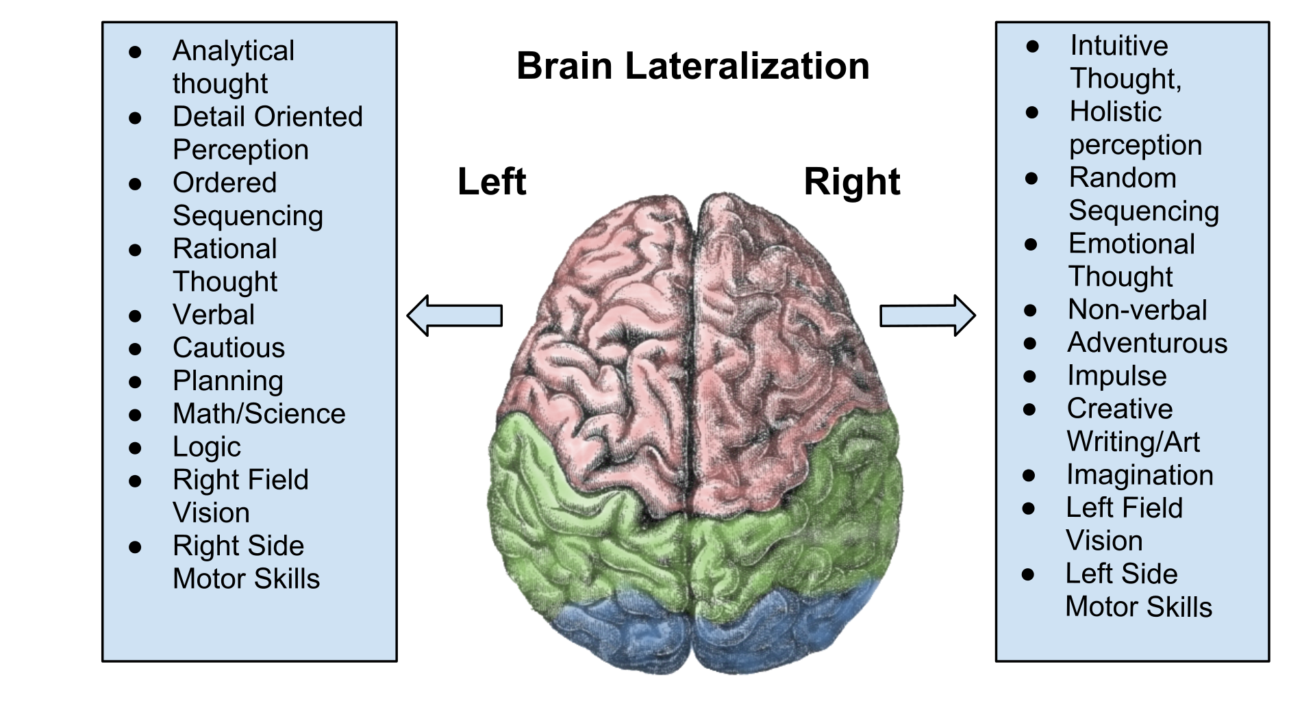 Brain Test : Level 7, Brain Test Wiki