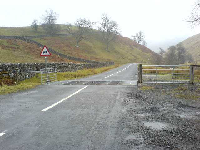 File:Cattle grid - geograph.org.uk - 774941.jpg