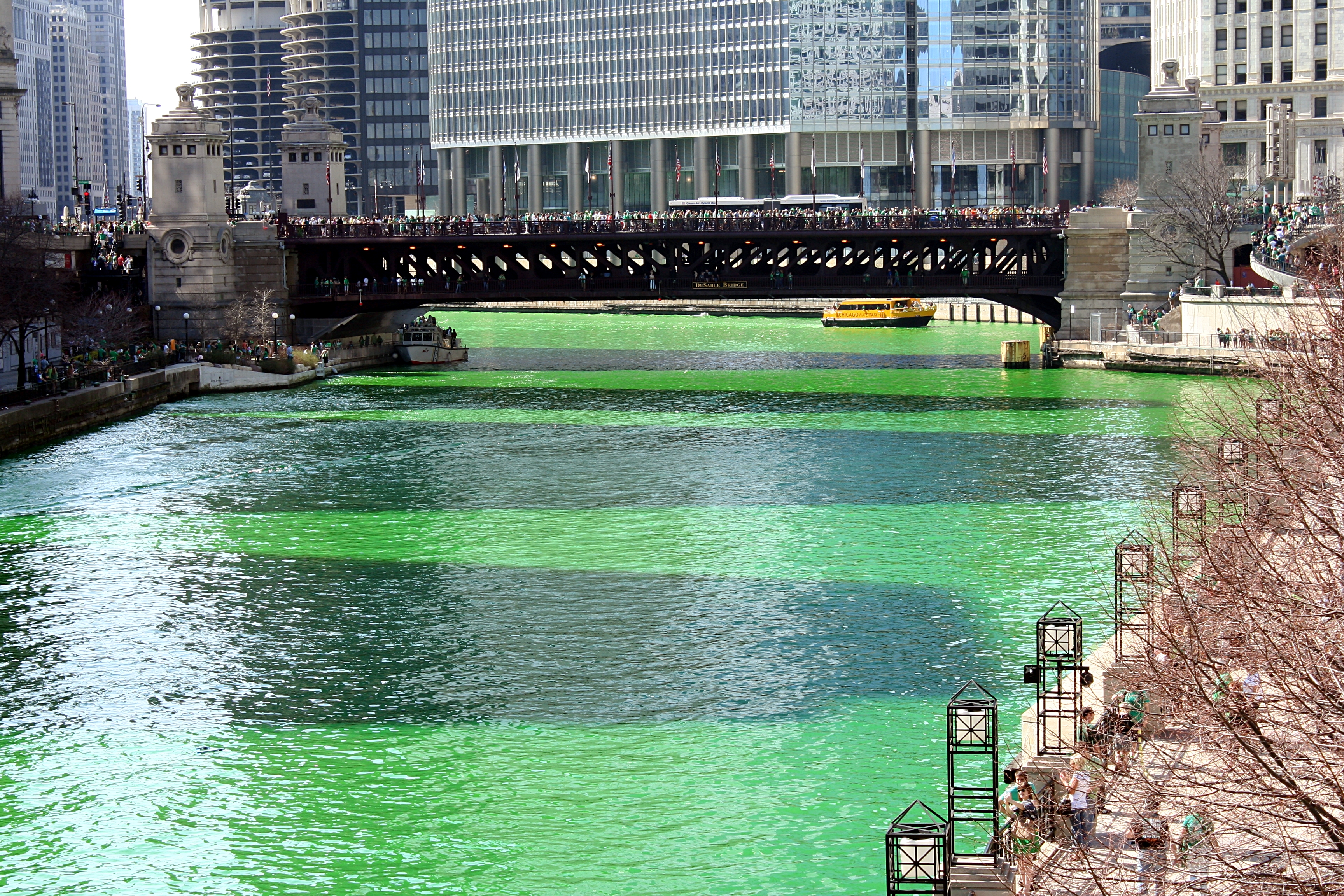 File:Chicago River St Patricks Day 08edit.jpg - Wikipedia