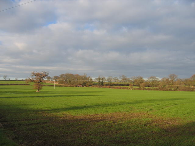 File:Christmas Hill - geograph.org.uk - 107964.jpg