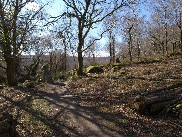 File:Edge of Lustleigh Cleave - geograph.org.uk - 1763262.jpg