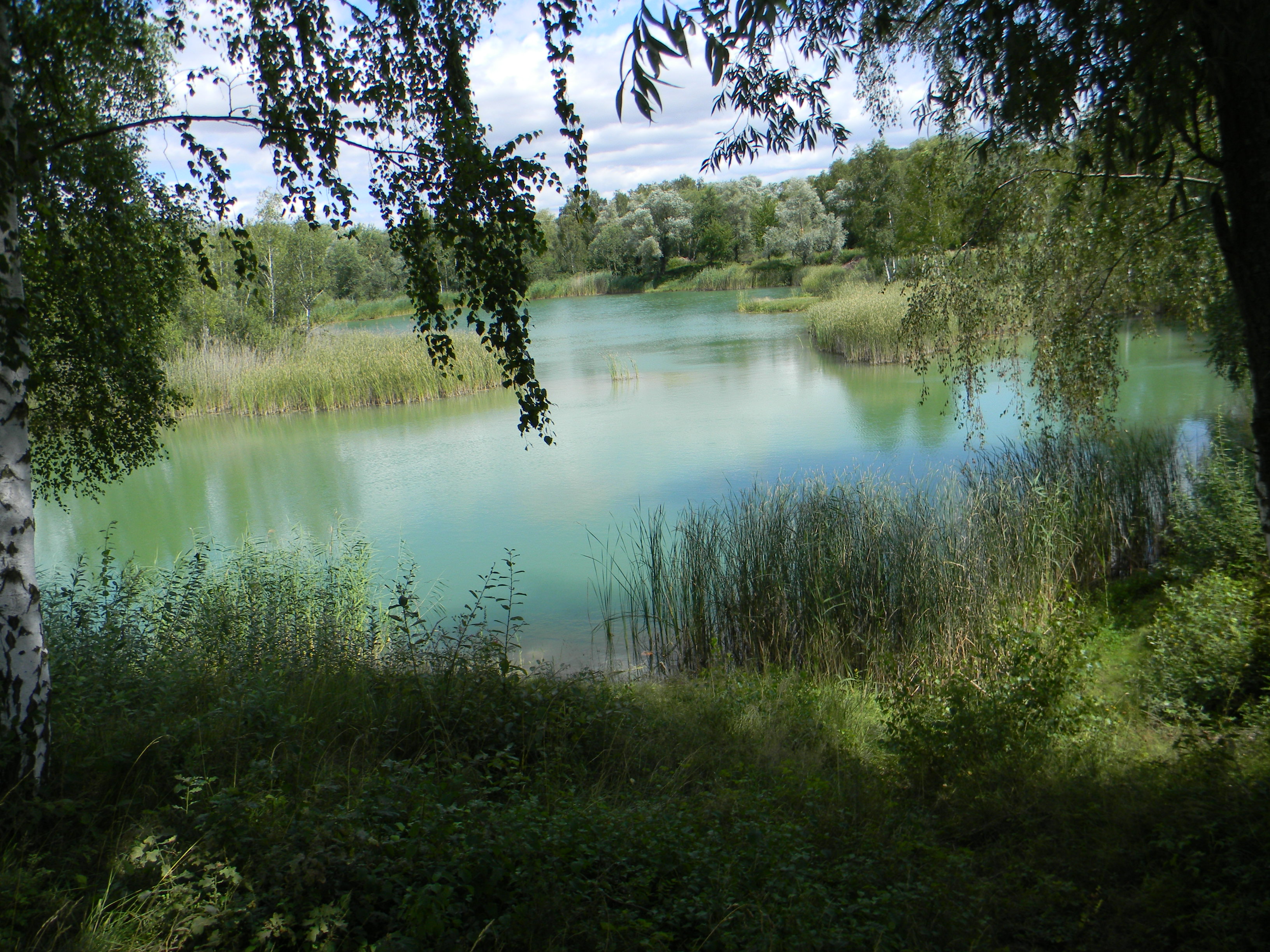 Blick über einen Weiher in der Erdekaut