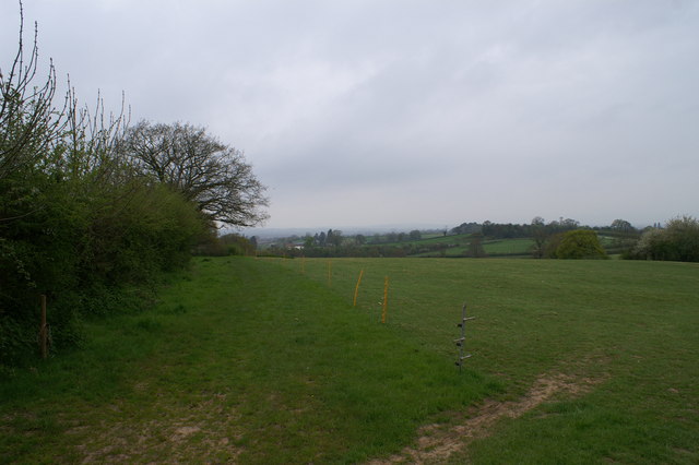 File:Field - geograph.org.uk - 161005.jpg