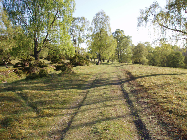 General Wade's Military Road, Kinrara - geograph.org.uk - 1303370