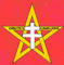 Sur fond rouge, un pentagramme doré, portant l'inscription Liautey Cavalerie et chargé d'une croix de Lorraine argentée