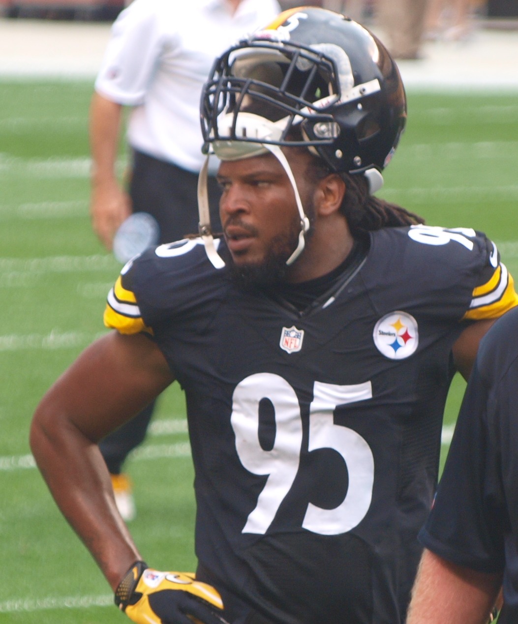 James Harrison (American football) - Wikipedia