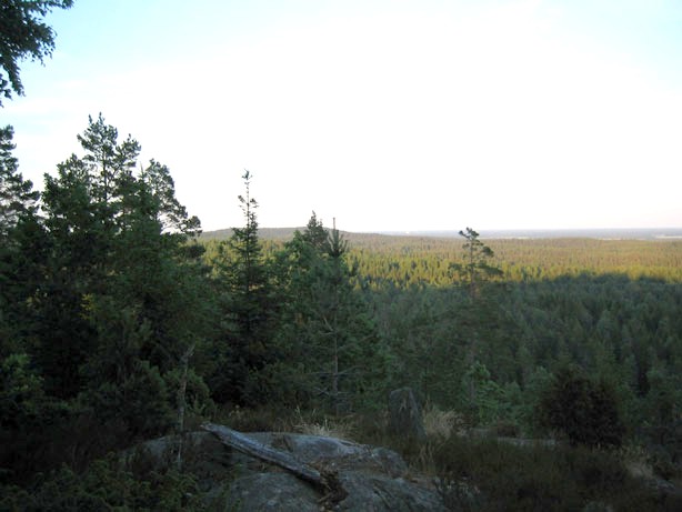 File:Kroppefjäll i Dalsland, Jaemlee.jpg