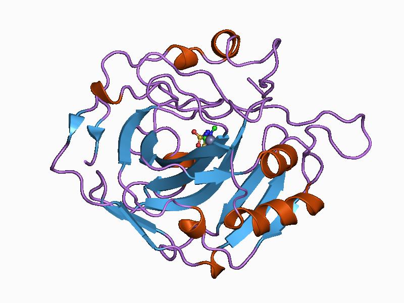 File:PDB 1bzm EBI.jpg