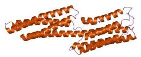 File:PDB 1syq EBI.jpg