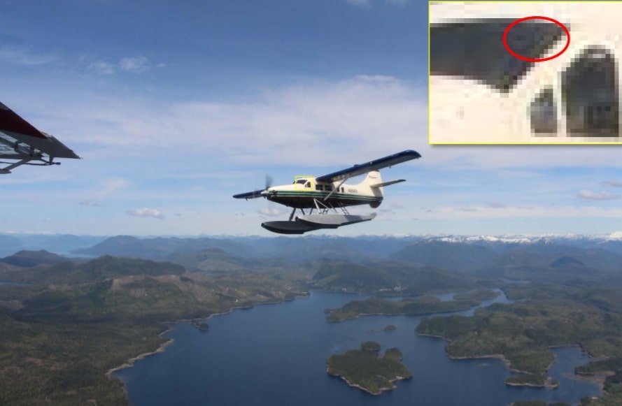 Crash of Rediske Air Otter in Alaska kills 10 people