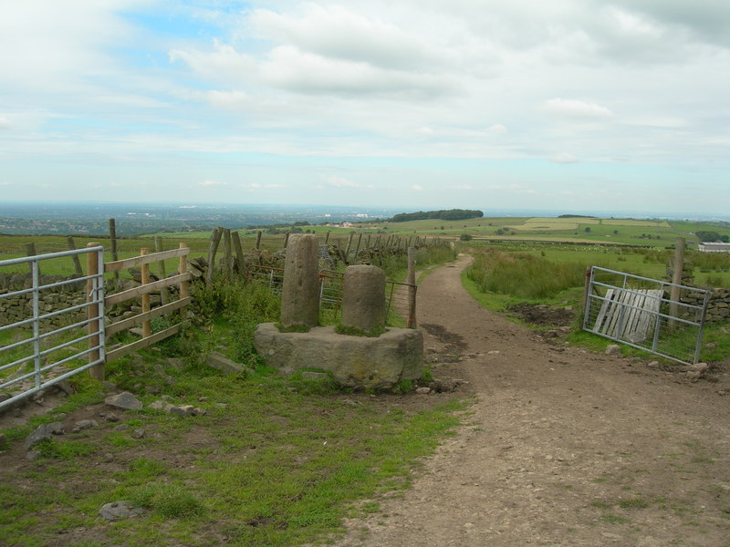 Robin Hood's Picking Rods - geograph.org.uk - 3216085