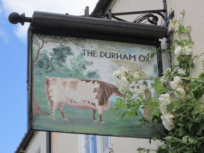 File:The Durham Ox, Crayke - geograph.org.uk - 3020230.jpg