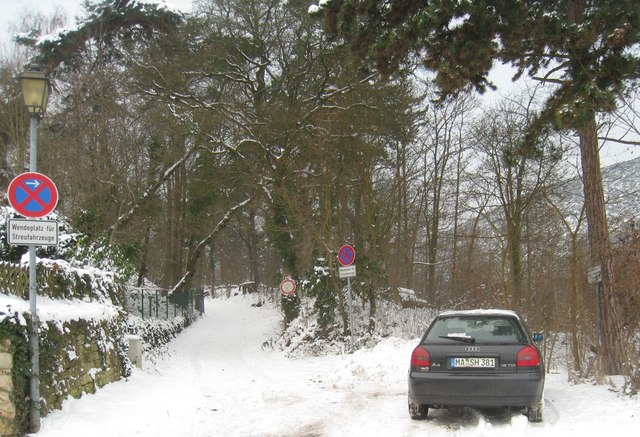 File:Waldweg - Gimmeldingen - geo.hlipp.de - 15765.jpg