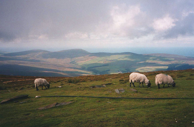 Western side of the Snaefell summit - geograph.org.uk - 1113492