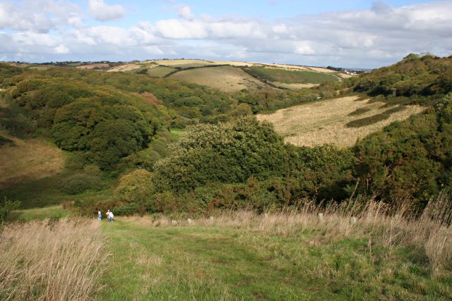 File:Woodland around Galowras Mill - geograph.org.uk - 256483.jpg