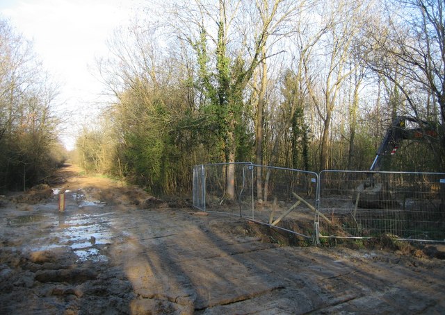 File:'Crosstrack' in the woodland - geograph.org.uk - 781986.jpg