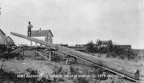 File:80 foot log hauled up a tramway at Fort Smith. Fred Siebert is standing on top of it. 1921 - G-1979-001-0135 141.jpg