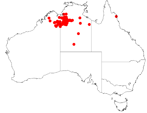 File:Acacia leptophlebaDistMap531.png