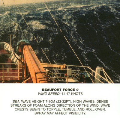 Beaufort scale 9.jpg