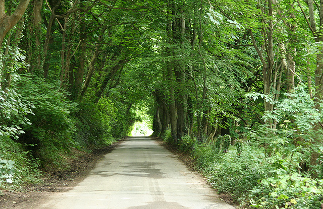 File:Berrynarbor, the Old Coast Road 2 - geograph.org.uk - 886368.jpg