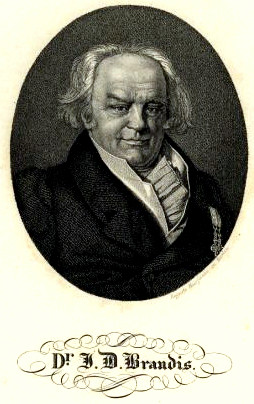 <span class="mw-page-title-main">Joachim Dietrich Brandis</span> German-Danish physician (1762–1845)