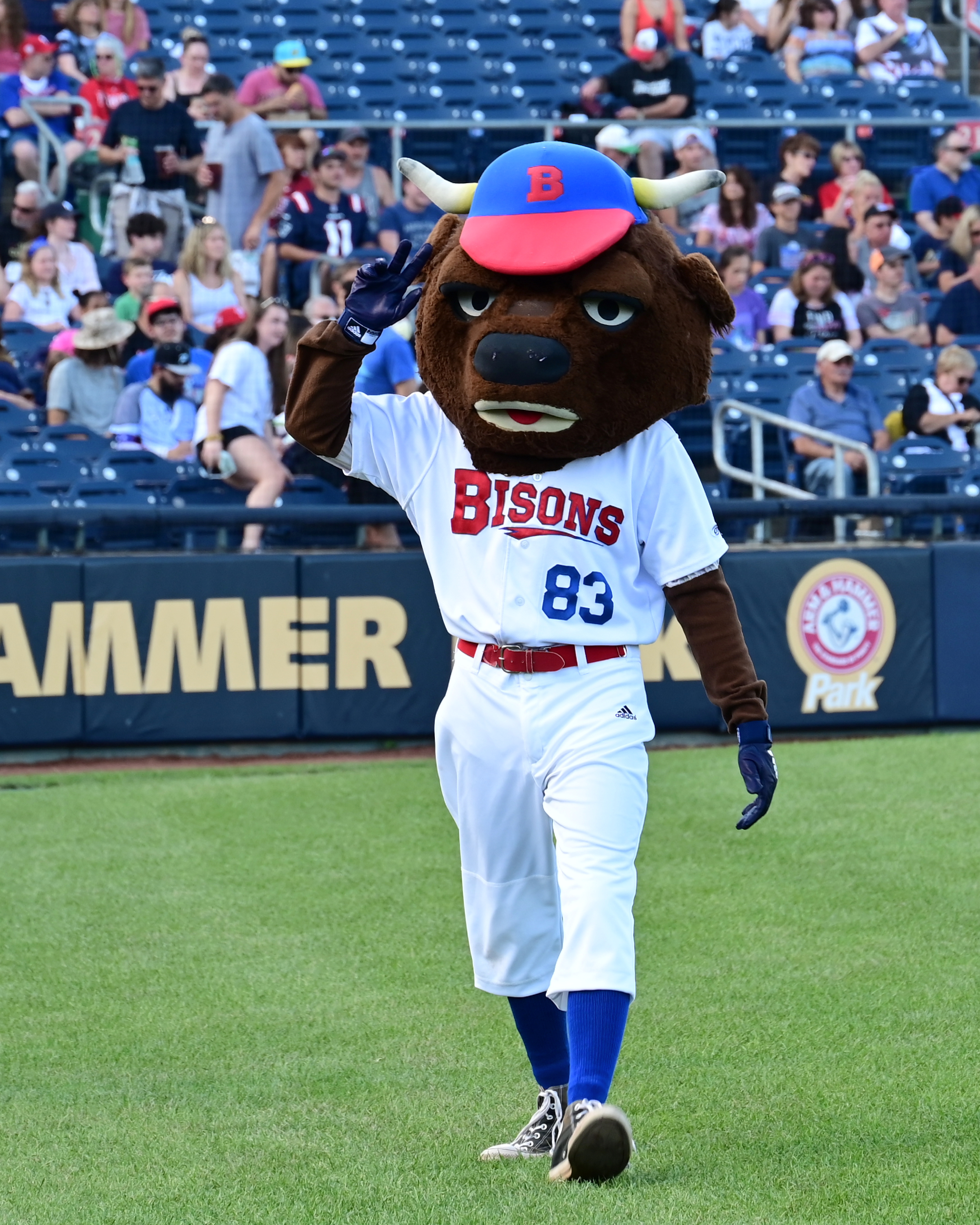 Buffalo Bisons -