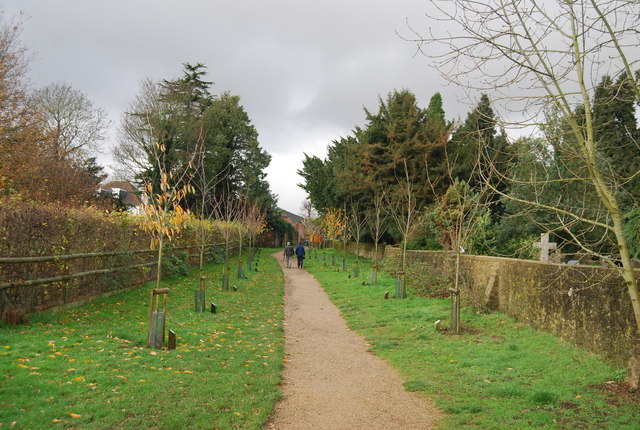Cherry Avenue, Bearsted Woodland Trust - geograph.org.uk - 1610985