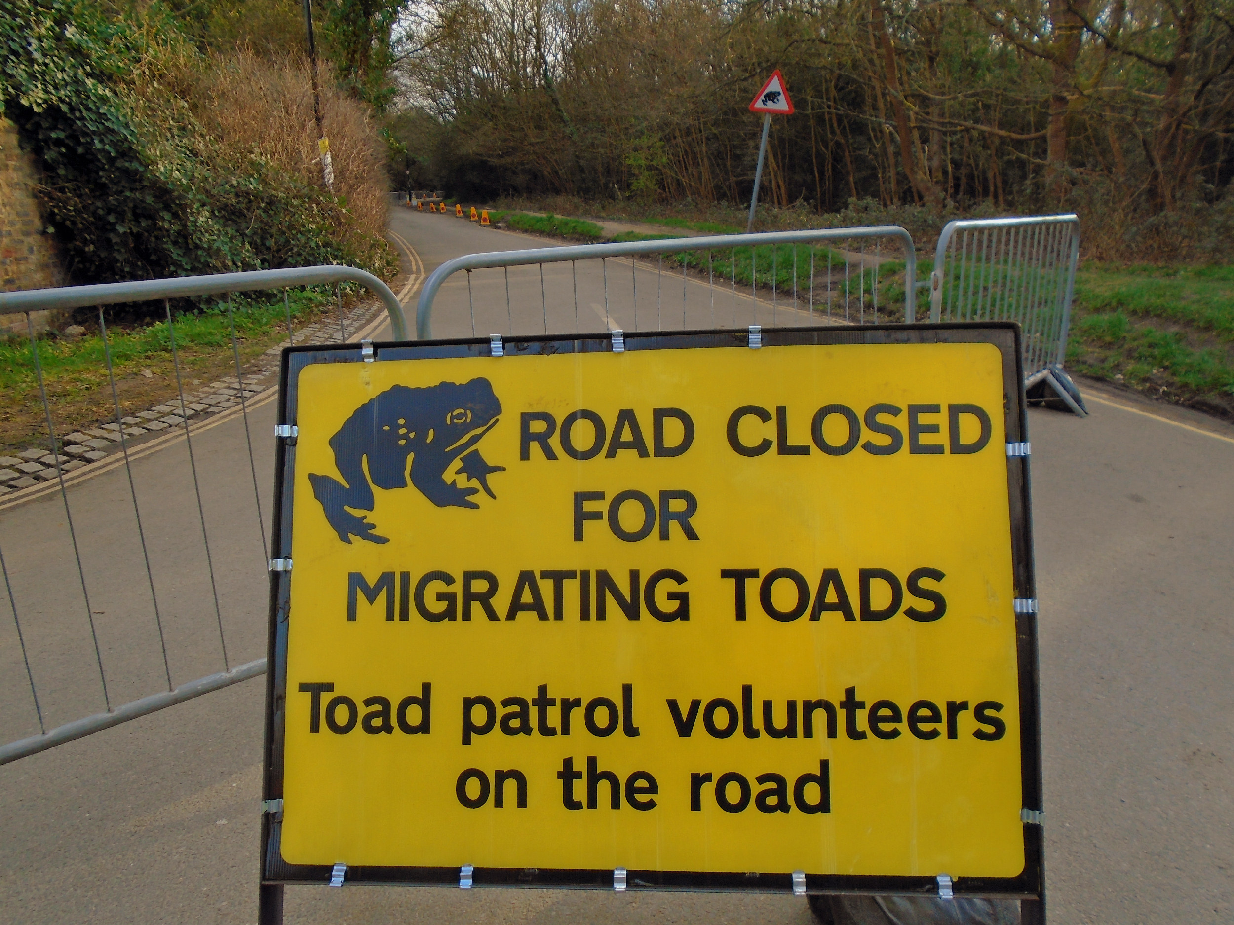 File Church Road Ham closed to protect migrating toads.jpg