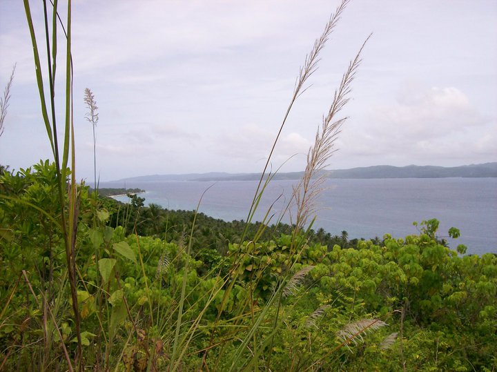 File:Dalupiri island 100.jpg