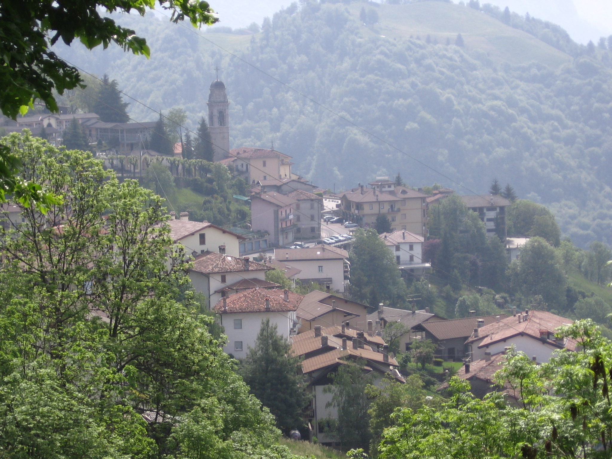 Disinfestazione  a Dossena