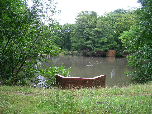 Ducks on Crawley Down Pond - geograph.org.uk - 44003