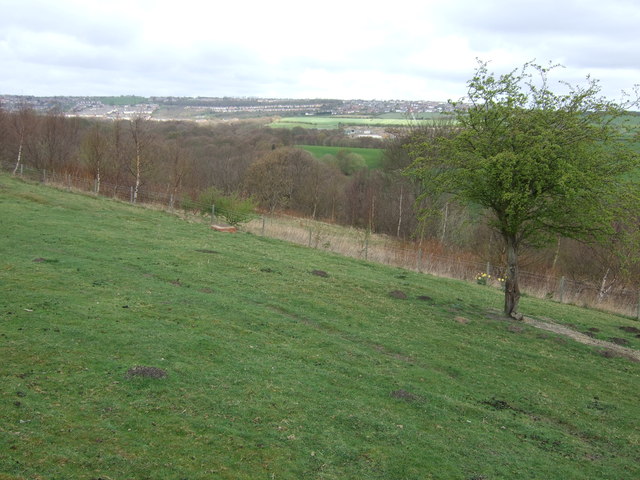 File:Farmland off Craighead Lane - geograph.org.uk - 2876094.jpg