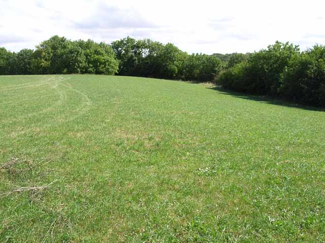 Field above Newbridge, Pickering - geograph.org.uk - 217833