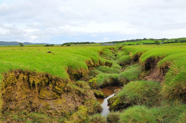 File:Field stream near Plumpton - geograph.org.uk - 1405593.jpg - Wikimedia  Commons