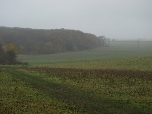 File:Greensand Ridge Walk - geograph.org.uk - 1047734.jpg