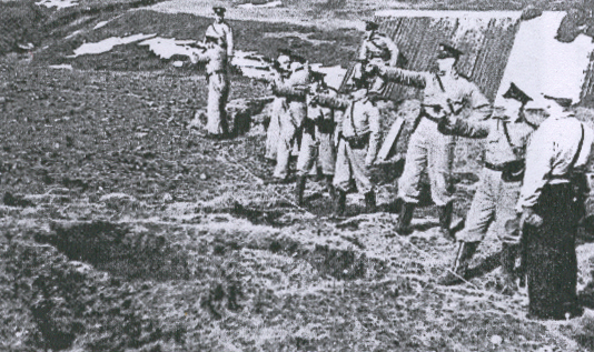 File:Icelandic Army 1940.png