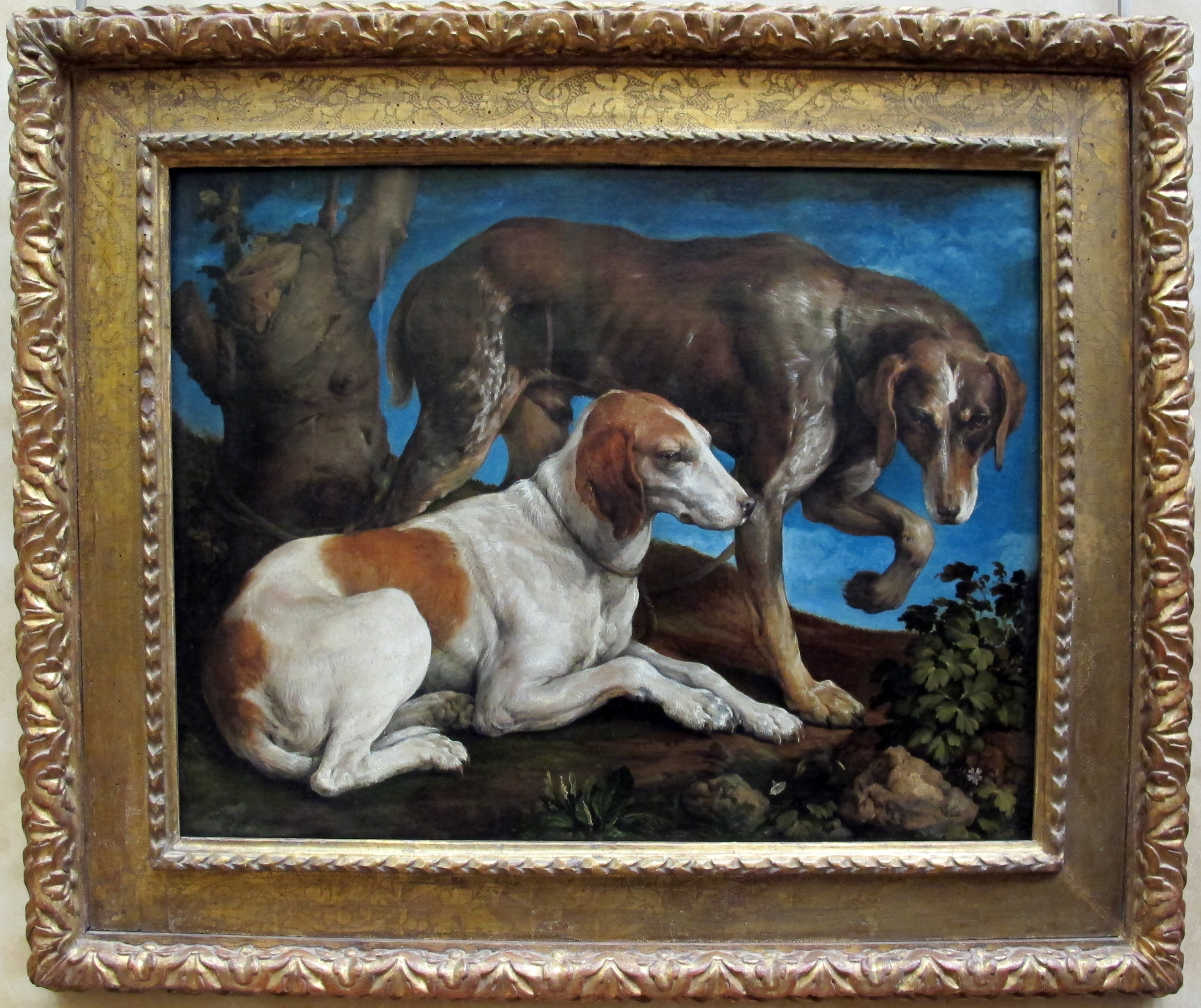Two Hounds Hunting Dogs Animal Painting By Jacopo Bassano Repro
