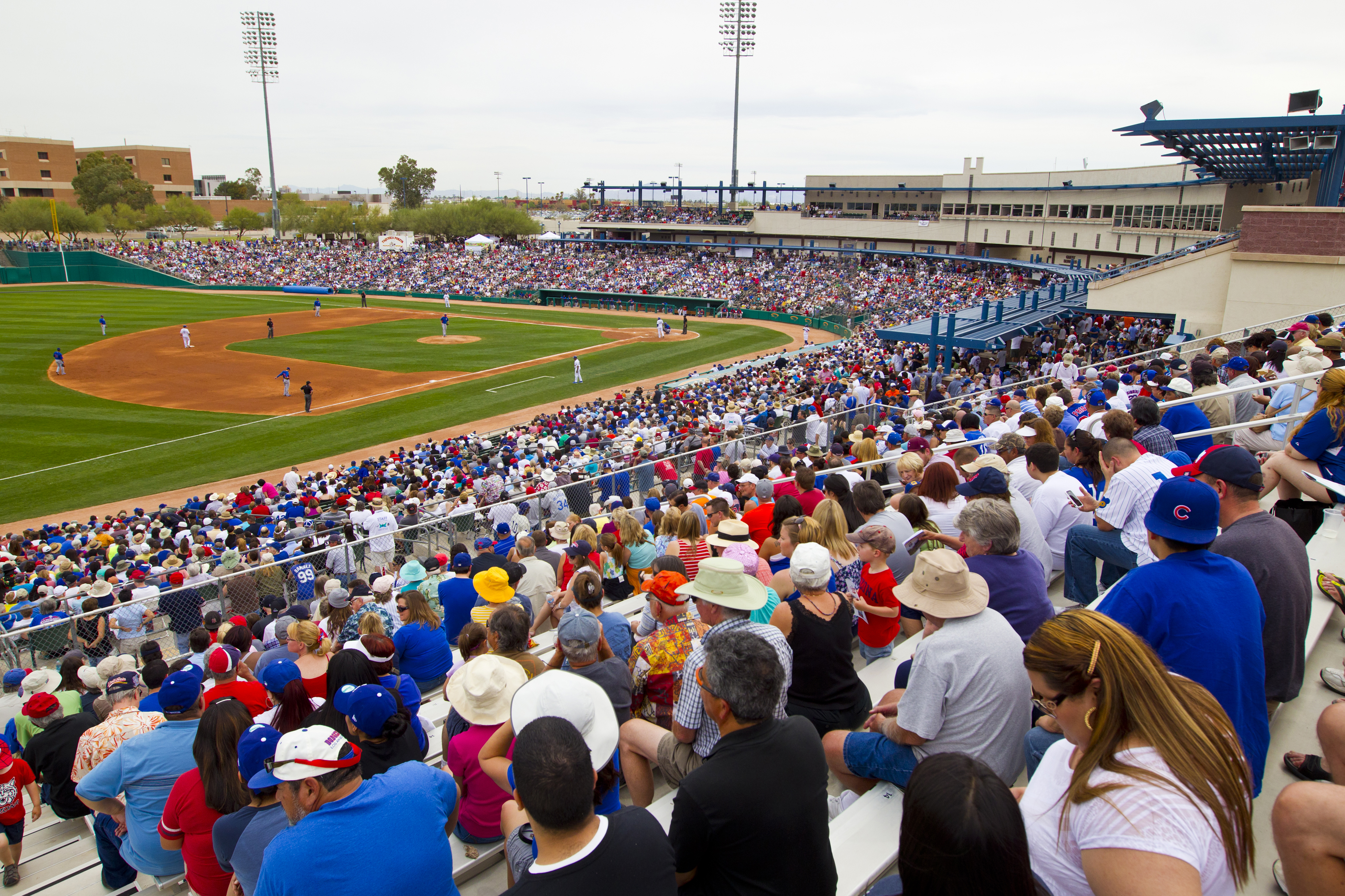 MLB spring training still a hot ticket in Arizona