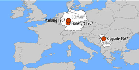 1967 Marburg Virus Outbreak In West Germany Wikipedia