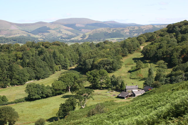 Ceredigion-avatar