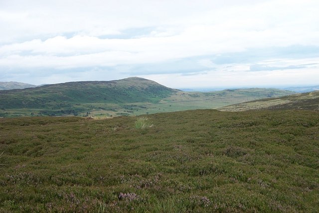 Moorland Heather above Llyn Cowlyd Reservoir - geograph.org.uk - 210810