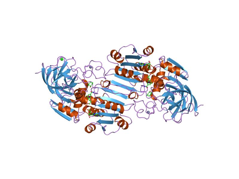 File:PDB 1hdx EBI.jpg