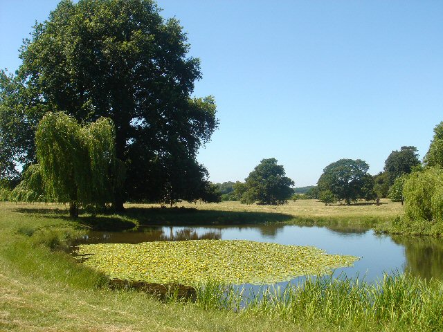 File:Pond near Ickworth House - geograph.org.uk - 202830.jpg