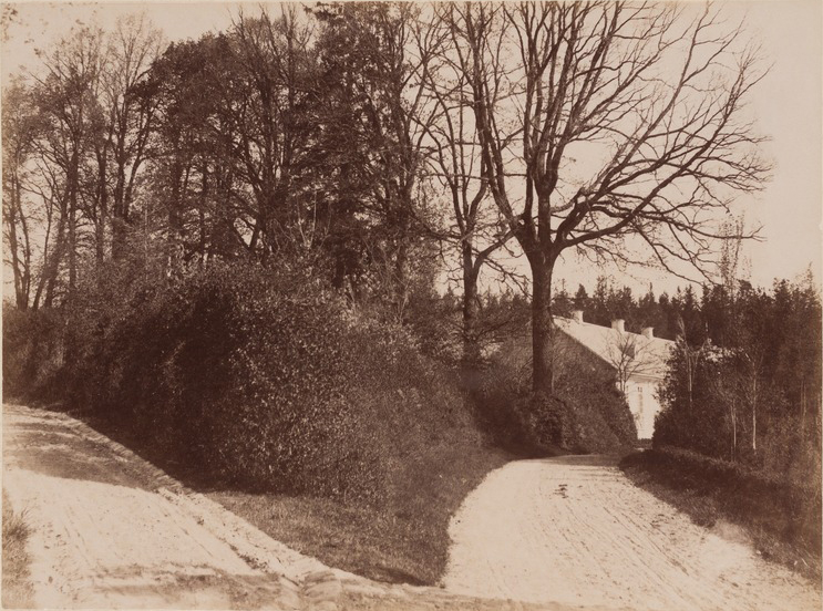File:Rajca, Vieraščaka. Райца, Верашчака (T. Boretti, 1894) (4).jpg