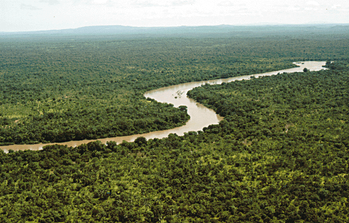 Rainforest ecosystems are rich in biodiversity. This is the Gambia River in Senegal's Niokolo-Koba National Park.