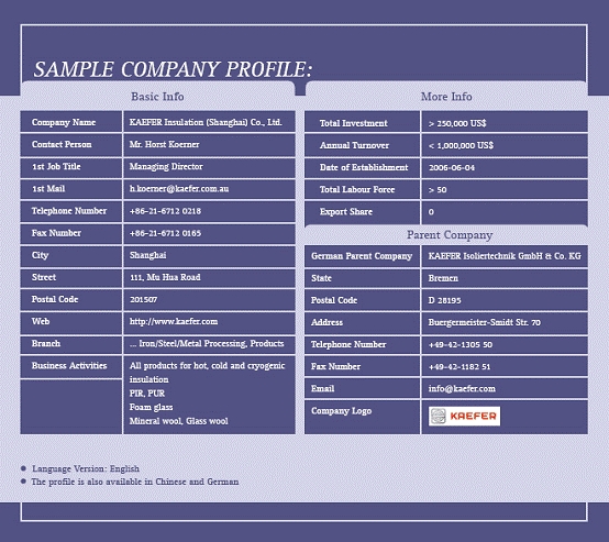 company overview sample