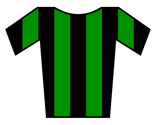 File:Soccer Jersey Green-Black (stripes).png